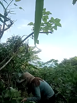 nangmo webcam