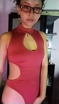 MIlan333X webcam