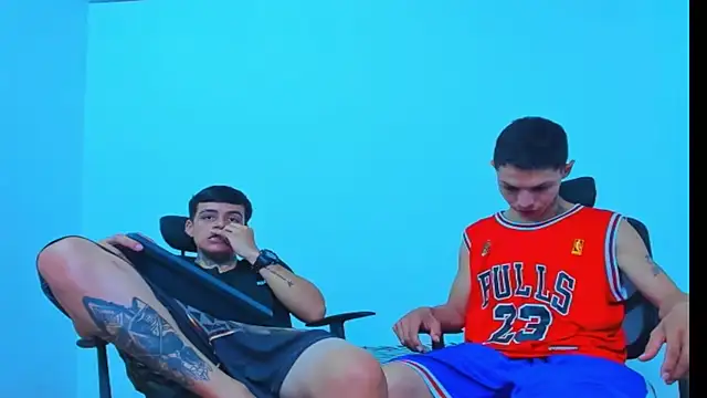 Thomas-Wil webcam
