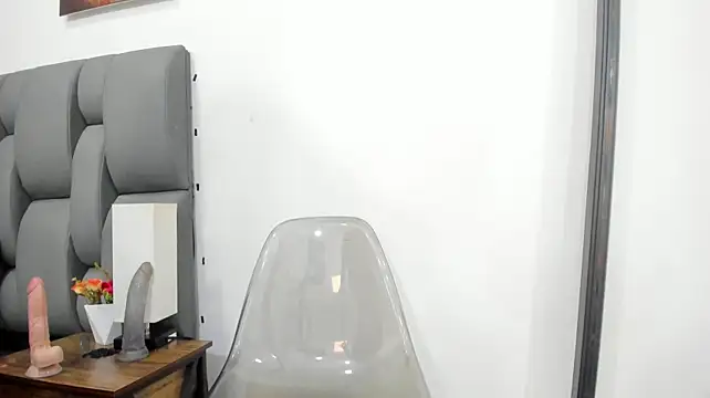 nocttis webcam
