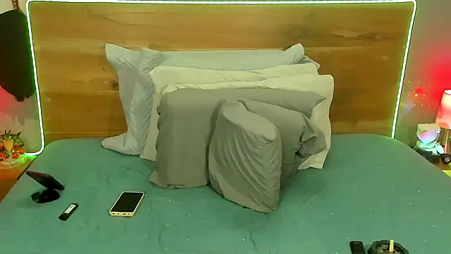 Prometeo-grizzly webcam