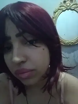 sereiaametista webcam