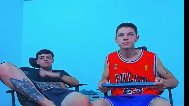 Thomas-Wil webcam
