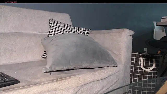 dirty_27cms webcam