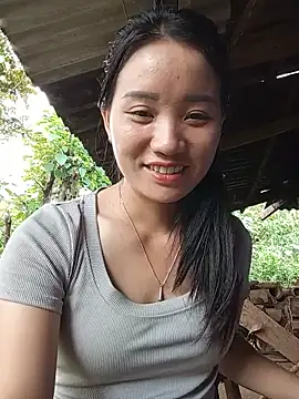 Td3di webcam