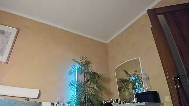 Diamond_D_ webcam