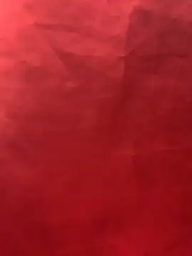 JerryJen11 webcam