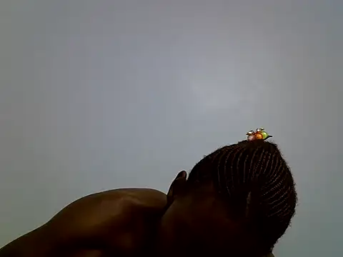 Calmfolower webcam