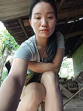 Td3di webcam