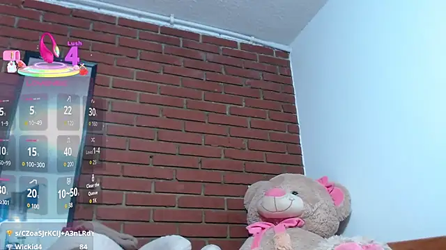 nadescoms webcam