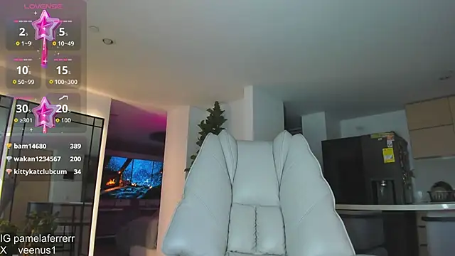 _veenus webcam