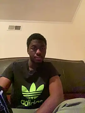 ThickDic28 webcam
