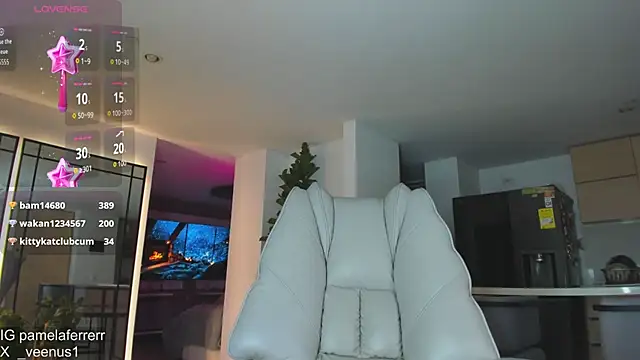 _veenus webcam