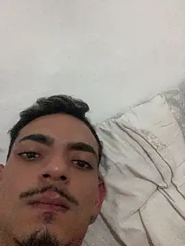 Hendricklavel1 webcam