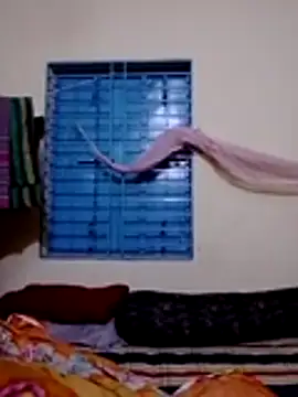 Ripa- live cam on StripChat