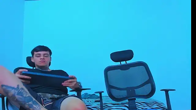 Thomas-Wil webcam