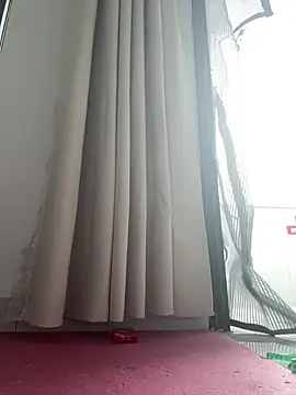 daaqnn webcam