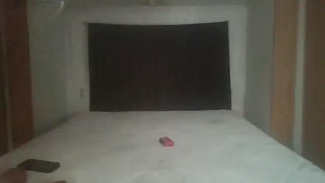 deepinnnnn webcam
