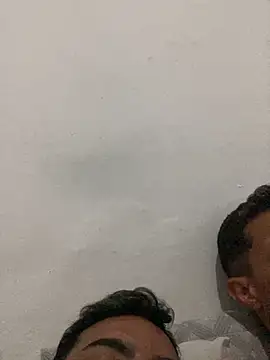 Hendricklavel1 webcam