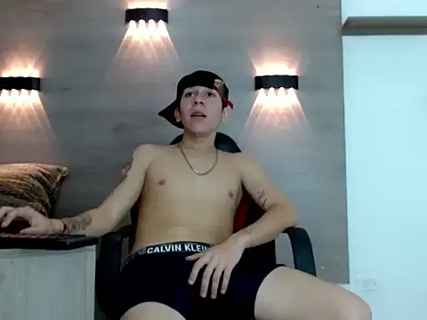 Gaeliitto webcam