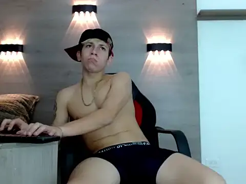Gaeliitto webcam