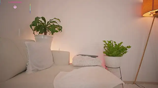 roxie_gates_ webcam
