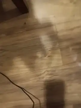 Harley428 webcam