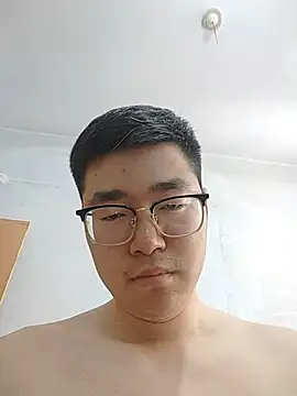 gscdc265 webcam