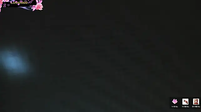 FOXY_LUNA webcam