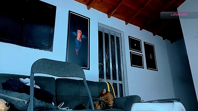 SilvaBranko webcam