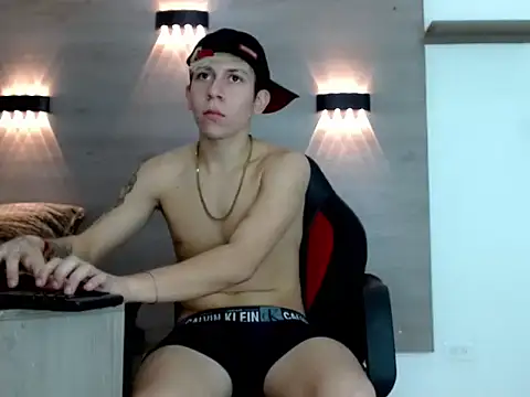 Gaeliitto webcam