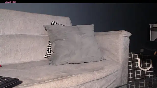 dirty_27cms webcam
