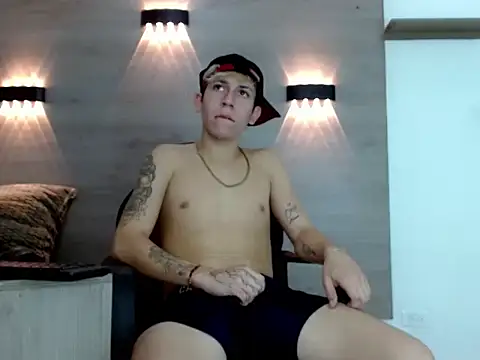 Gaeliitto webcam