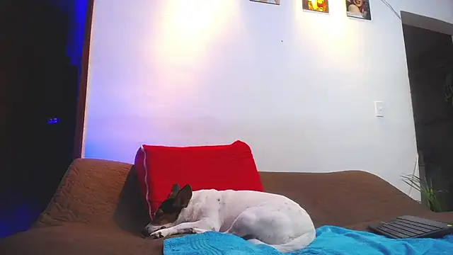 shellsy_hans webcam