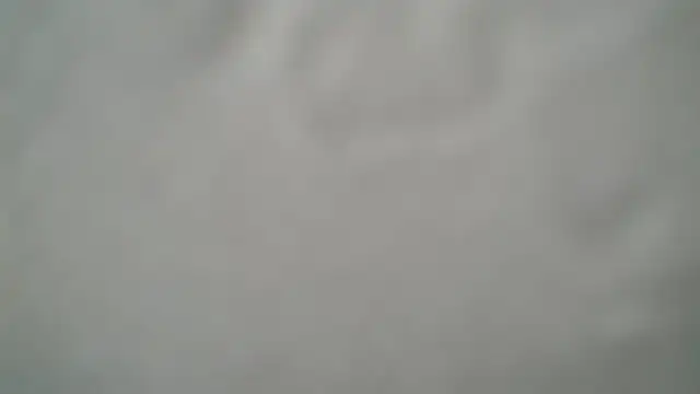 Grass_99