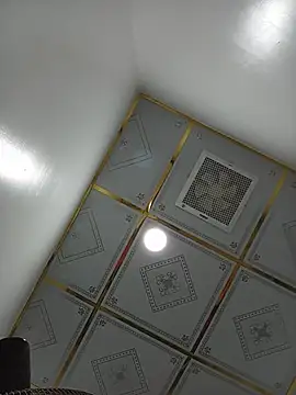 -Arabella- webcam