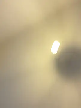 GeilerBull webcam