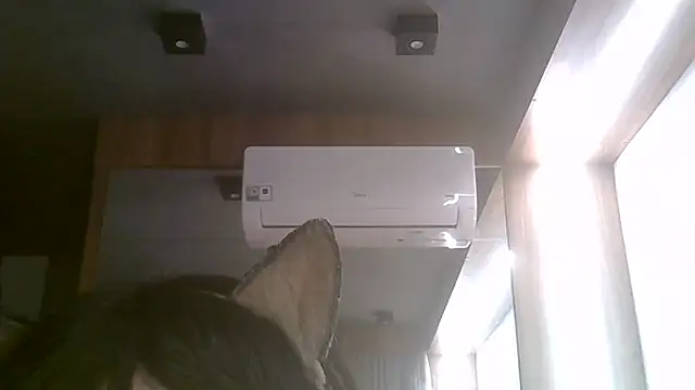 SkinnyKitten webcam