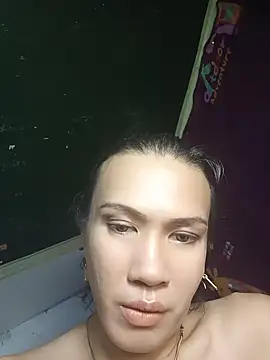 manilafoxts webcam