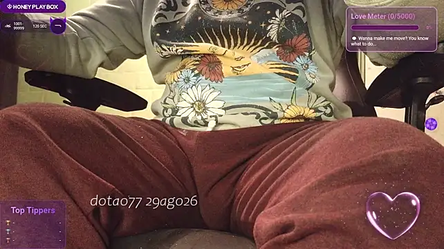 doTao7 webcam