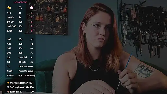 Serve_to_Alexa webcam