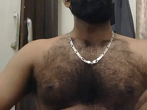indianhairybull webcam