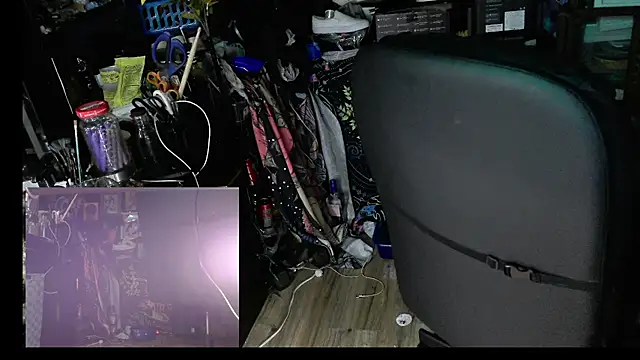 Sinstresshemlock webcam