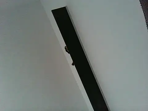 foxy_karla webcam