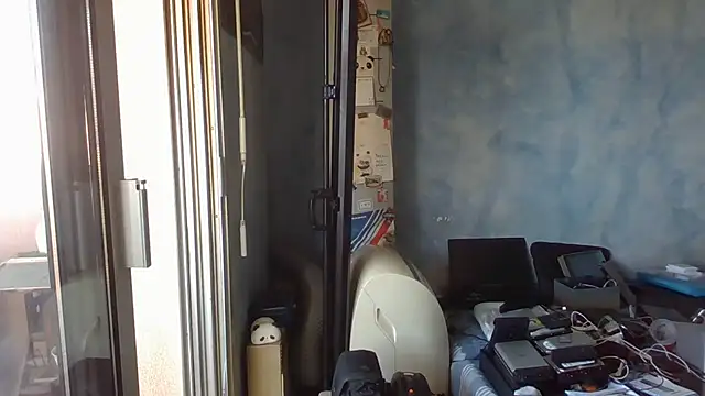 panda_06200 webcam