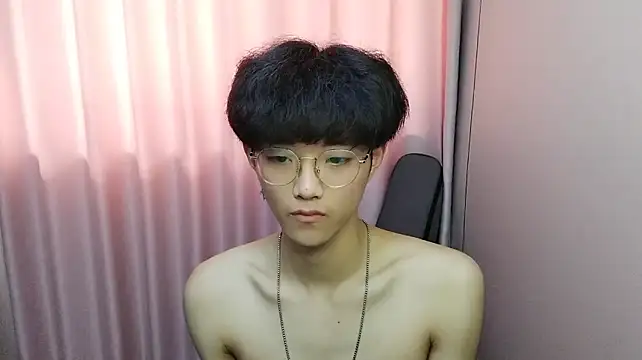 wssoo11 webcam