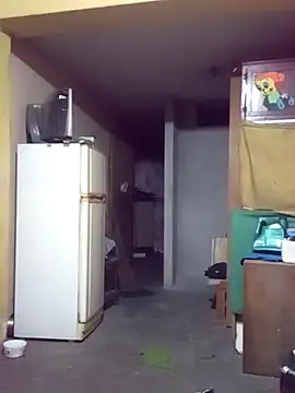 bxbicho20 webcam
