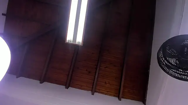 littlemusee webcam