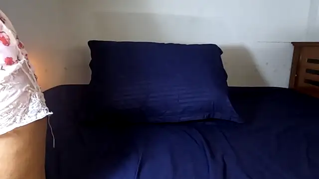 sahansa webcam