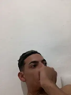 Hendricklavel1 webcam